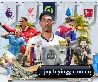 joy-biyingg.com.cn APP